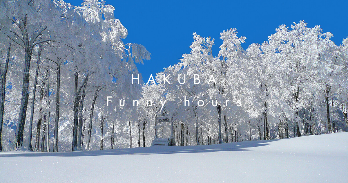 白馬岳 🏔️🎶 HAKUBA Mountain Festival 2025 🌳✨ 第2弾アーティスト